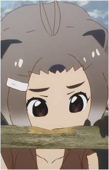 North American Beaver
