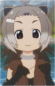 North American Beaver
