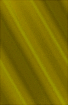 Image 2 Image 2