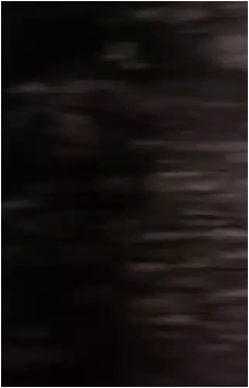 Image 6 Image 6