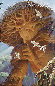 Verdeloth's image