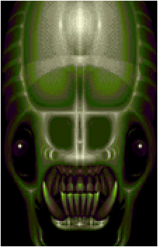 The Vortex Queen