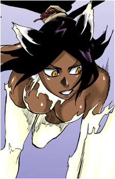 Yoruichi Shihōin