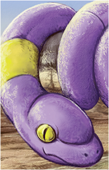 Image 20