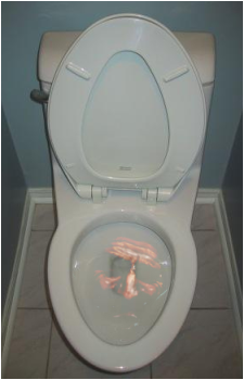 SCP-789-J's image