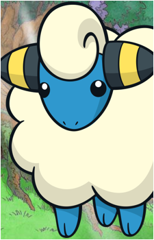 Image 9