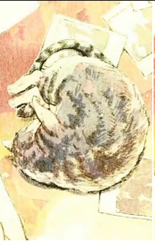 Image 4 Image 4