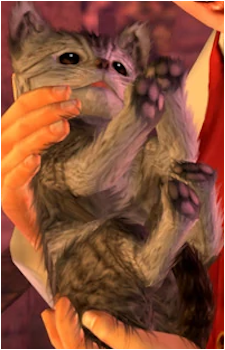 Image 2 Image 2