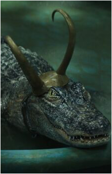 Alligator Loki (Loki Laufeyson)