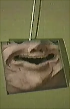 Image 2 Image 2