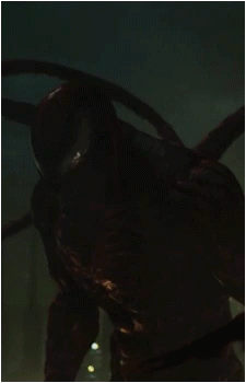 Carnage