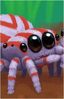 Buddy the Spider's image