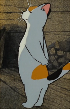 Image 8 Image 8