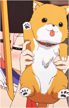 Image 17