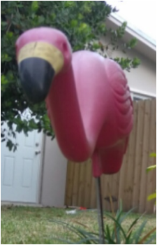 SCP-1507's image