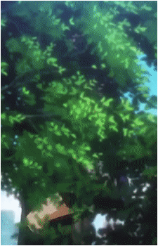 Sacchan
