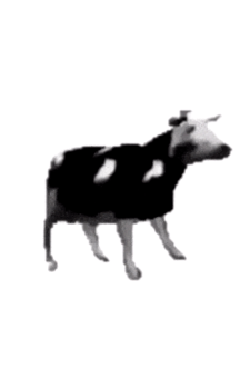 Polish Cow