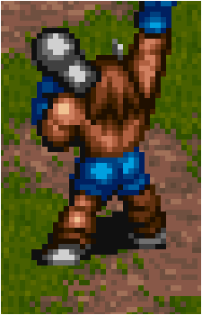 Ox
