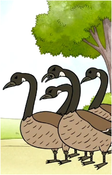 Geese {RS}