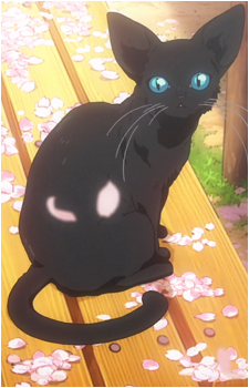 The Cat {YLiA}