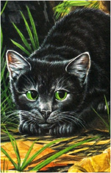 Hollyleaf