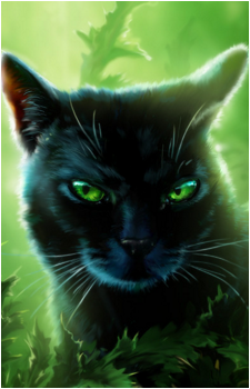 Hollyleaf's image