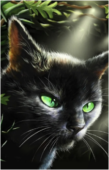 Hollyleaf