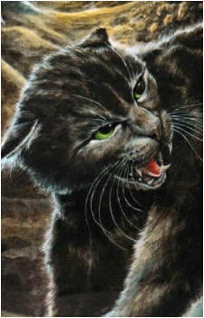 Hollyleaf