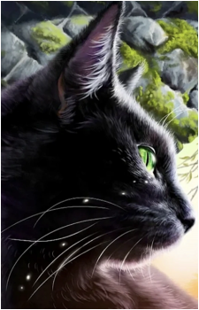 Hollyleaf
