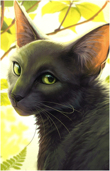 Hollyleaf