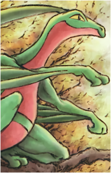 Image 31