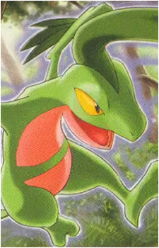 Image 35