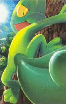 Image 21