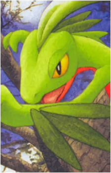 Image 36
