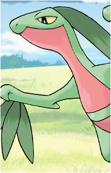 Treecko