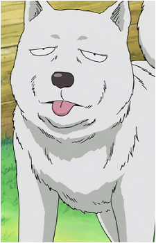 Pochi {OP}