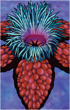 Hitodenchak's image