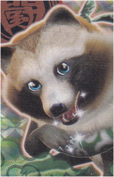 Tanumaru's image