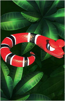 Slippa's image