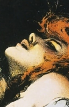 Brown Eyes {Intolerance}'s image