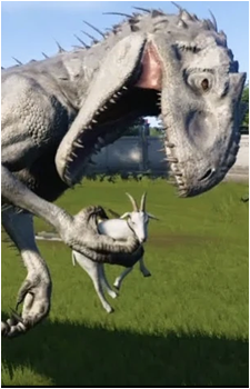 Image 3 Image 3
