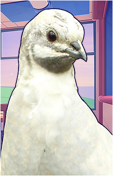 Kazuaki Nanaki's image