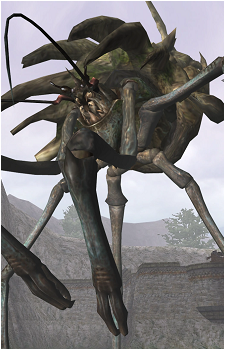 Shen Gaoren's image