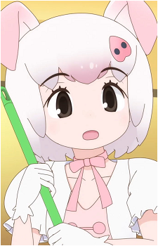Domestic Pig