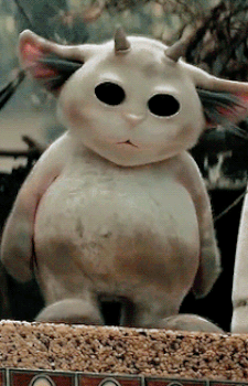 Ned Bayou