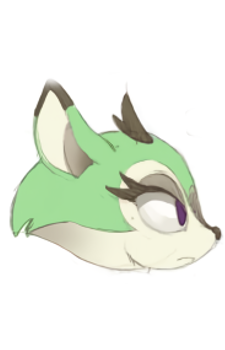 Clove the Pronghorn