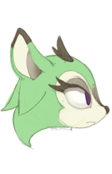 Clove the Pronghorn