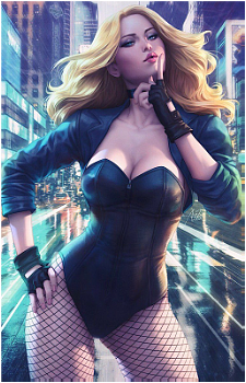Black Canary (Dinah Lance)