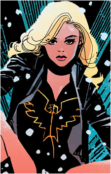 Black Canary (Dinah Lance)