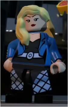 Black Canary (Dinah Lance)